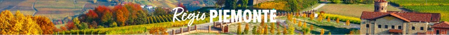 Regio Piemonte